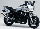 FZS 600