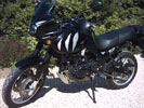 tiger 955