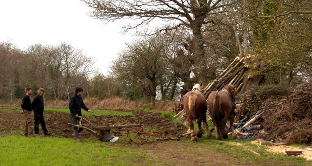 penprat chevaux 2