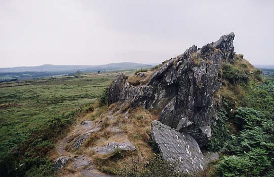 roc trevezel